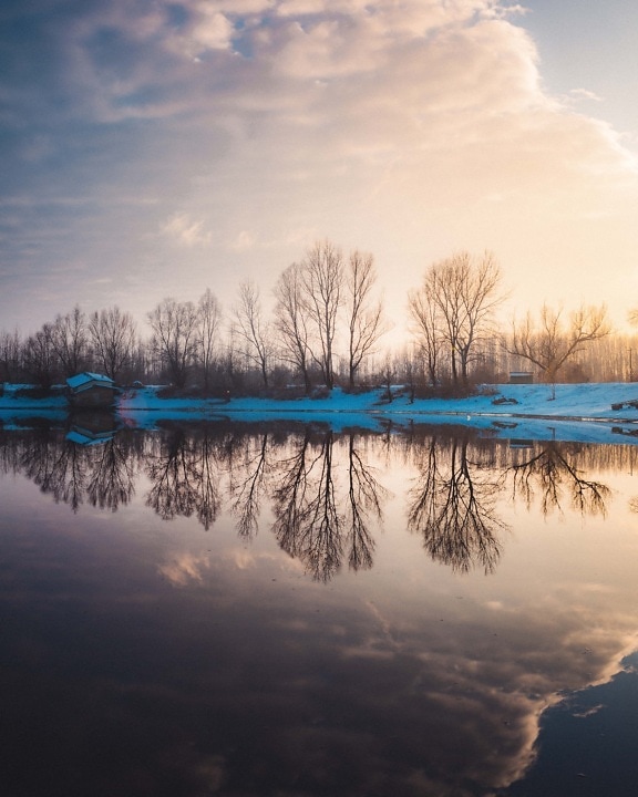 river, sunset, reflection, water level, cold, fair weather, winter, dawn, landscape, tree