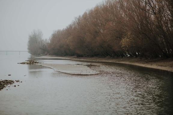 podzimní sezóna, břehu řeky, mlha, odlivu, řečiště, písečným nánosem, krajina, řeka, zimní, kanál