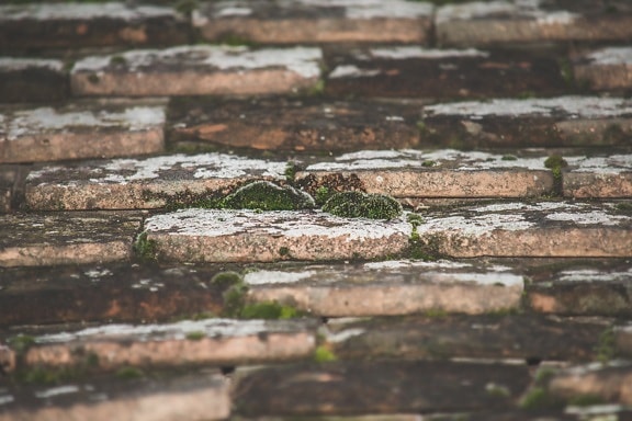 mossy, roof, lichen, tiles, close-up, texture, rough, dirty, outdoors, pattern