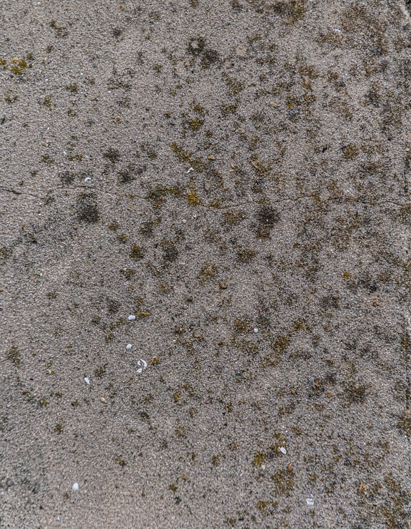 concrete, dirty, mossy, texture, material, wall, surface, pattern, rough, abstract