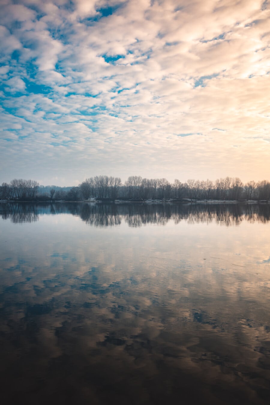 waterfront, lakeside, water level, dawn, bright, reflection, cloudiness, atmosphere, water, tree