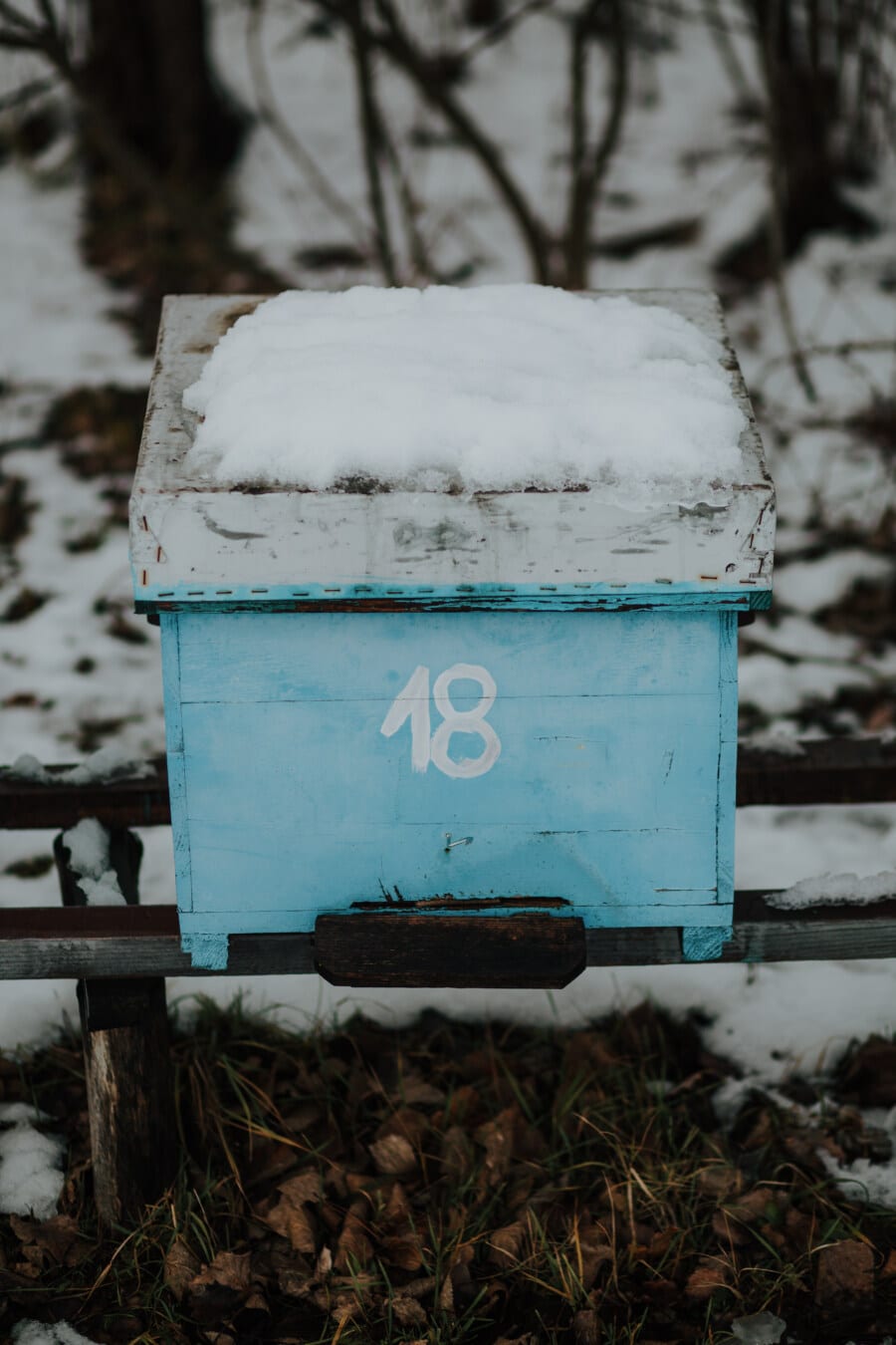 snowy, beehive, wooden, box, frozen, frost, winter, snow, nature, outdoors