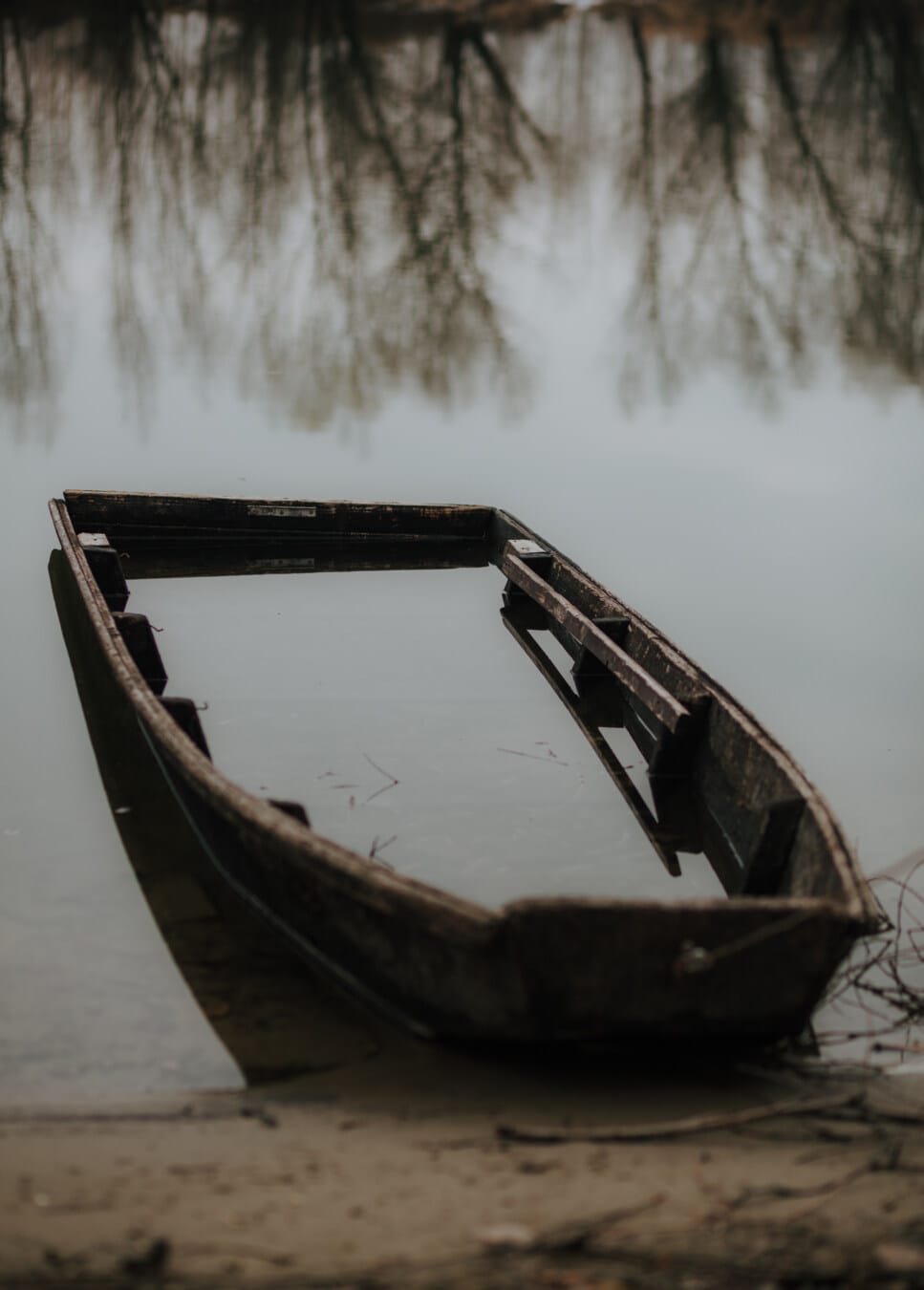 underwater, boat, abandoned, wooden, floodplain, flood, decay, wreck, water, nature