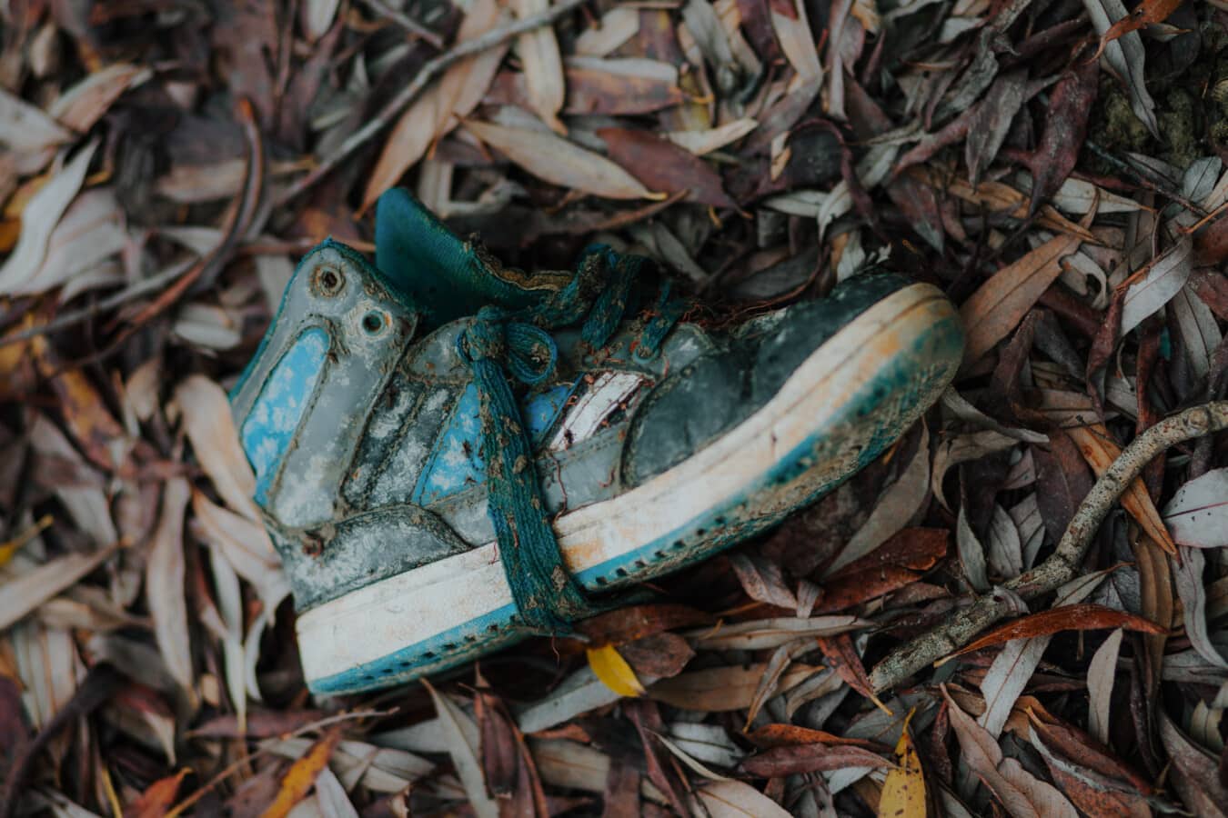 sneaker, dirty, garbage, trash, nature, recycling, wood, waste, old, abandoned