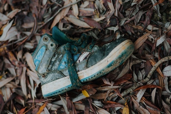 spor ayakkabı, kirli, çöp, çöp kutusu, doğa, geri dönüşüm, ahşap, atık, eski, terk edilmiş