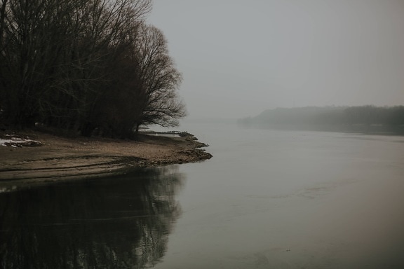schemering, oever van de rivier, mistig, lakeside, dageraad, landschap, oever, meer, nevel, mist