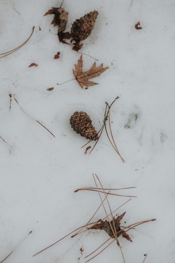 snow, ground, nature, frost, texture, frozen, dirty, environment, frosty, surface