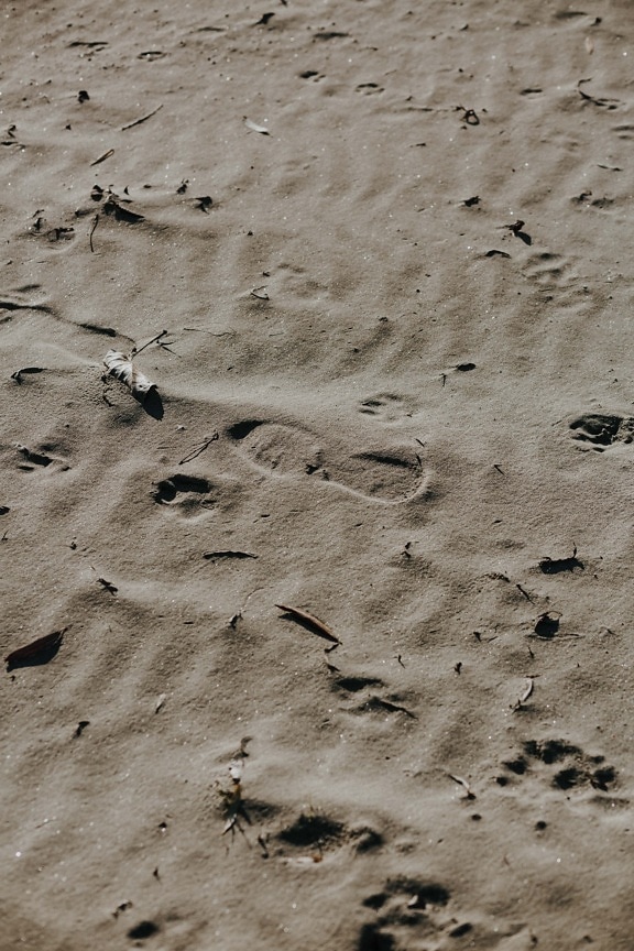 Fußspuren, Sand, Schritt, Strand, Erde, Boden, Fußabdruck, Textur, Natur, leere