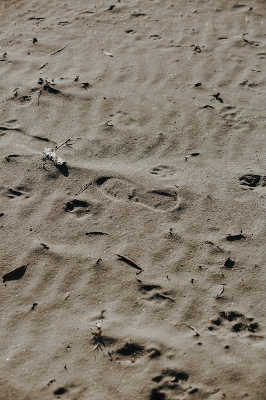 Fußspuren, Sand, Schritt, Strand, Erde, Boden, Fußabdruck, Textur, Natur, leere