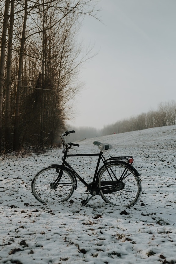 наклон, велосипедов, восхождение, склон холма, снежно, горный велосипед, транспортное средство, зима, снег, холод