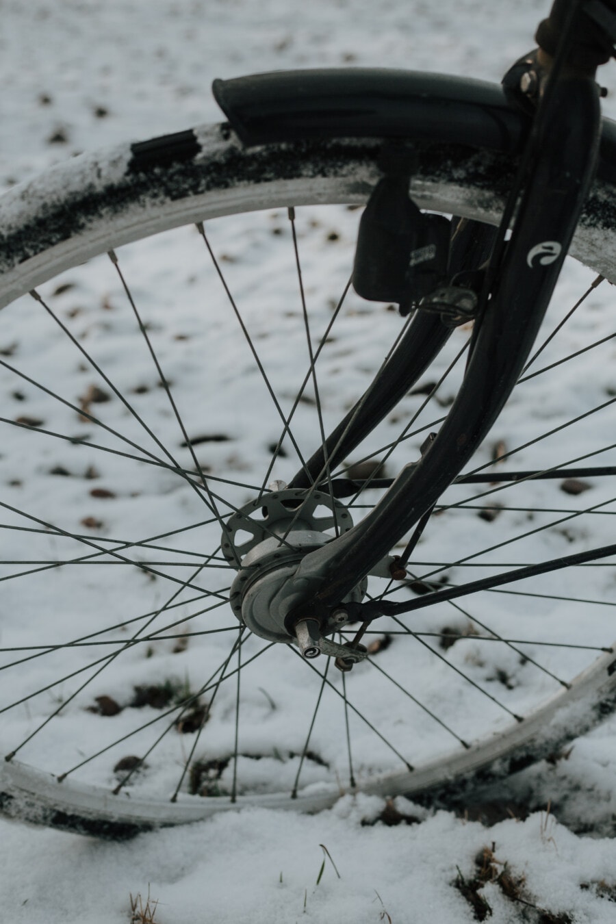 dinamó, kerékpározás, havas, gumiabroncs, eszköz, hó, téli, kerékpár, kerék, jármű