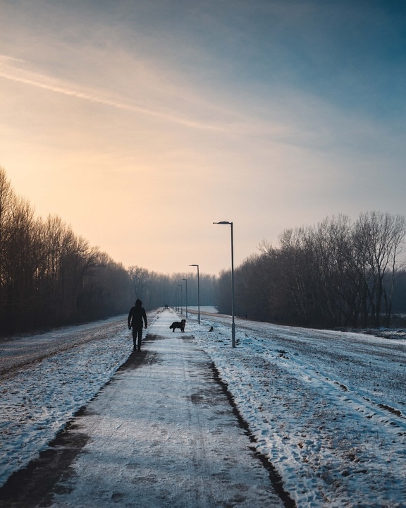caminhando, pessoa, nevado, estrada, crepúsculo, frio, paisagem, Inverno, amanhecer, neve