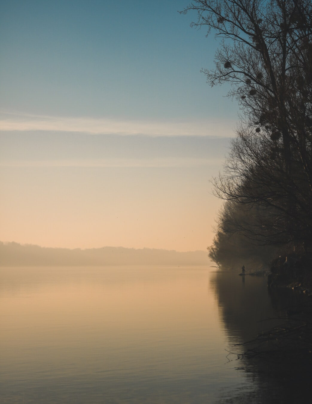 mlha, východ slunce, ráno, majestátní, břehu řeky, mlha, Dawn, mlha, jezero, krajina
