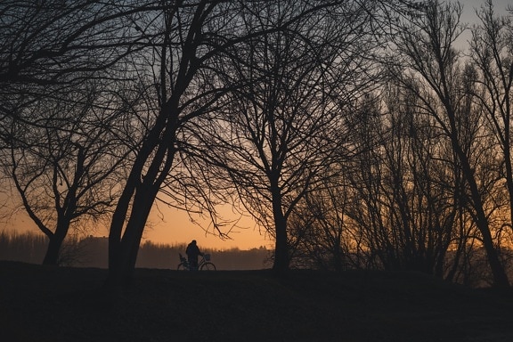 nighttime, night, twilight, dusk, landscape, event, person, silhouette, bicycle, bicycling