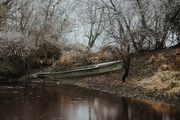 river boat, abandoned, boat, autumn season, water, river, tree, channel, swamp, landscape