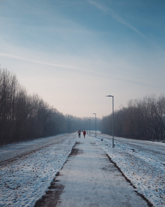 Winter, weg, voetgangers, mensen, wandelen, koude, weer, vorstost, sneeuw, landschap