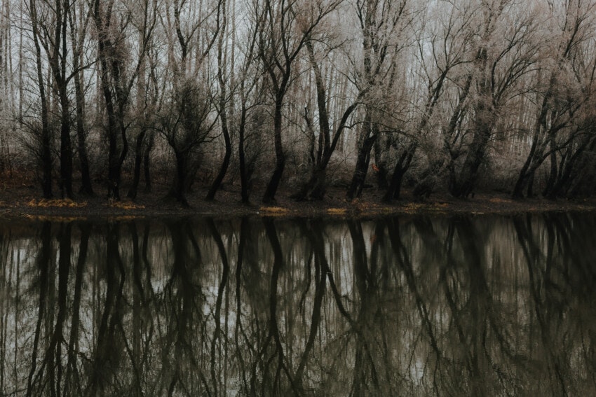 Free picture: channel, river, waterway, calm, water level, reflection ...