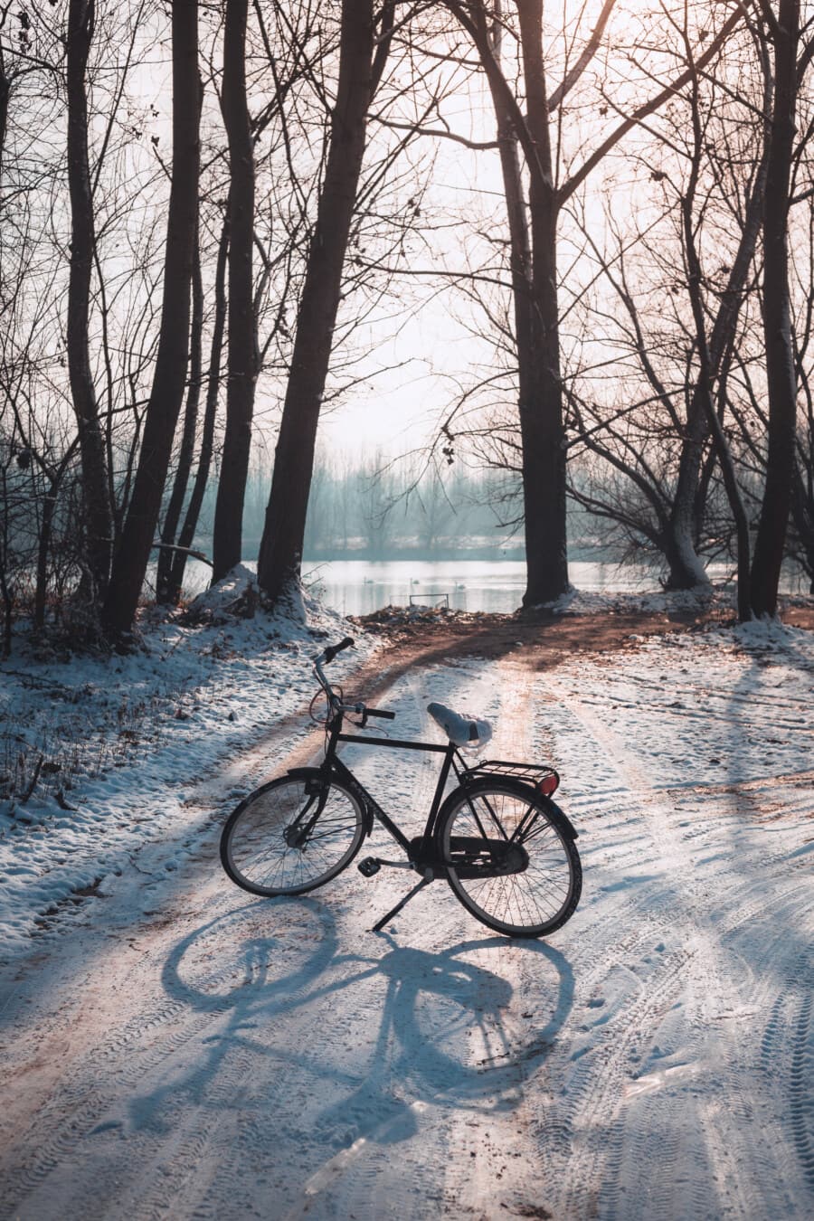 metsätielle, talvi, tie, polkupyörä, lumi, metsän polkua, varjo, taustavalaistu, puu, ajoneuvon