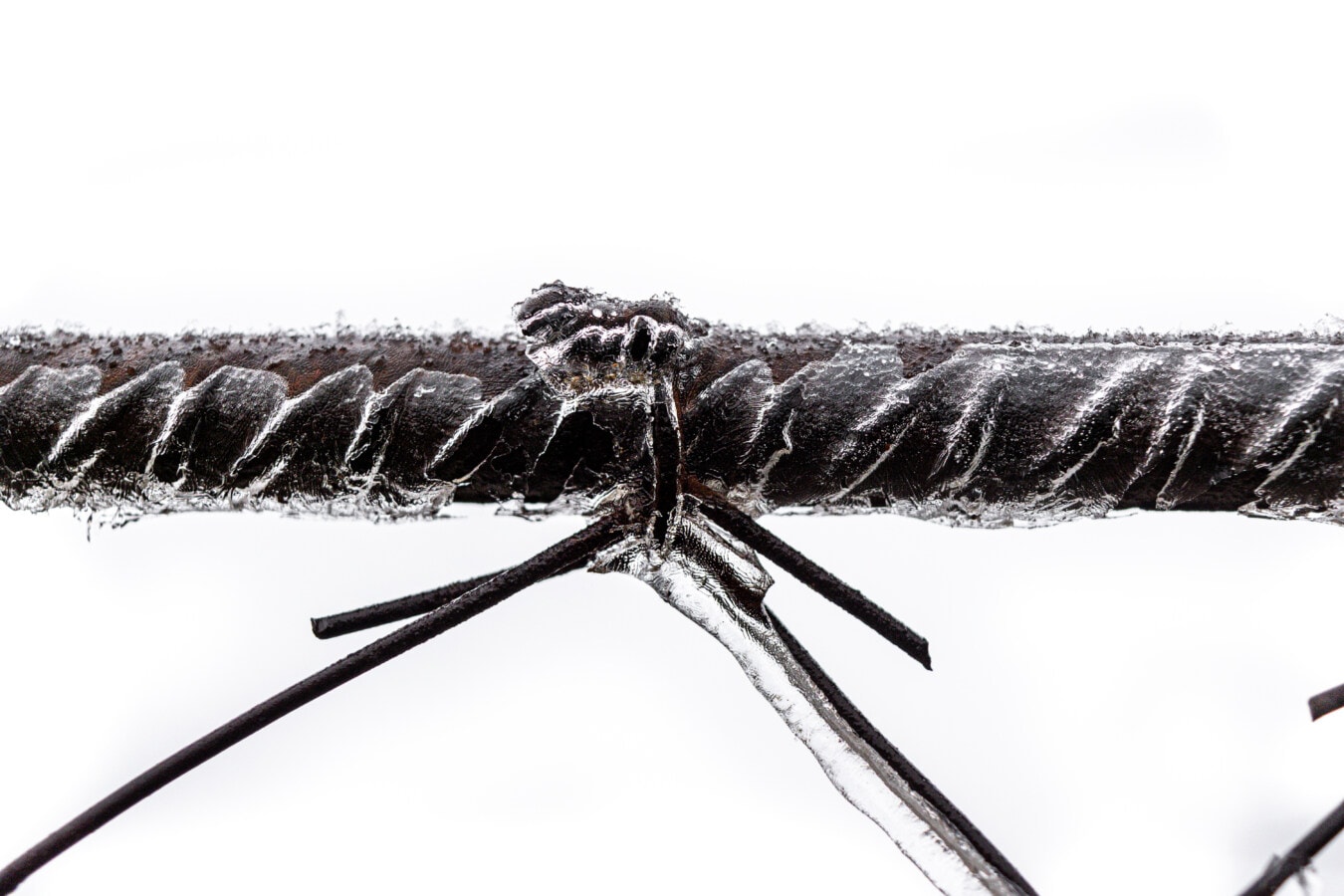 zamrznuto, žice, bodljikava žica, lijevano željezo, led kristal, hrđe, metal, željezo, ograda, pogled iz blizine
