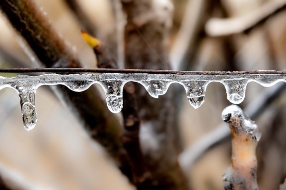 congelate, ploaie, picătură de ploaie, până aproape, sârmă, Focus, iarna, natura, vechi, oţel