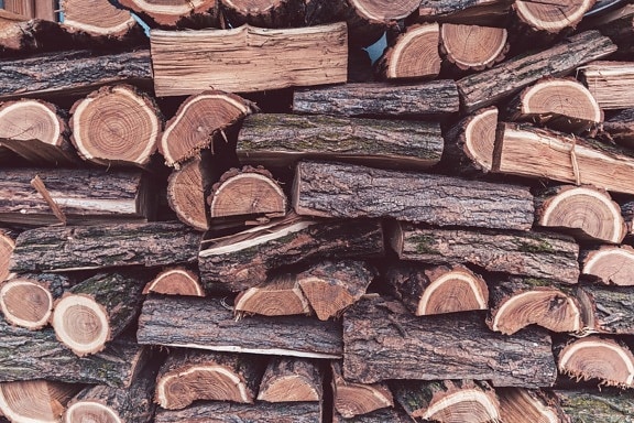 купища, дърва за огрев, купчина, твърда дървесина, текстура, акация, дървен материал, дървени, модел, природата