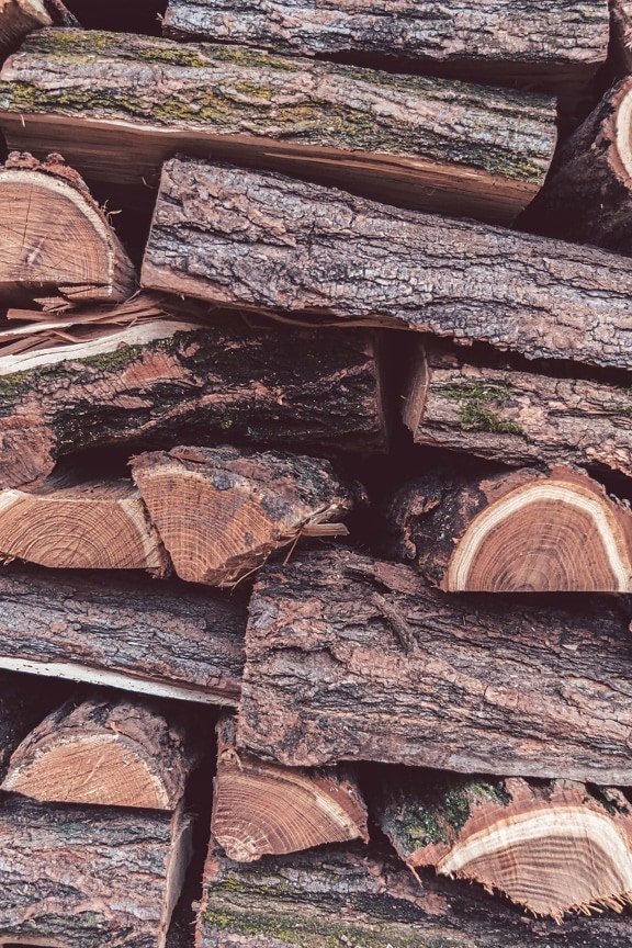 lemn, lemn de foc, gramada, stivă, până aproape, salcâm, textura, scoarţă de copac, model, material