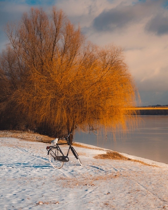 beach, snowy, bicycle, trees, riverbank, dawn, winter, water, snow, tree