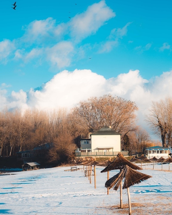 겨울, 비치 프론트, 비치, 리조트 지역, 눈, 공정한 날씨, 푸른 하늘, 감기, 풍경, 자연