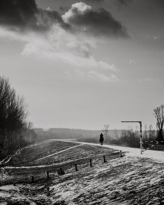 horse, black, riding, rider, rural, black and white, road, landscape, winter, monochrome