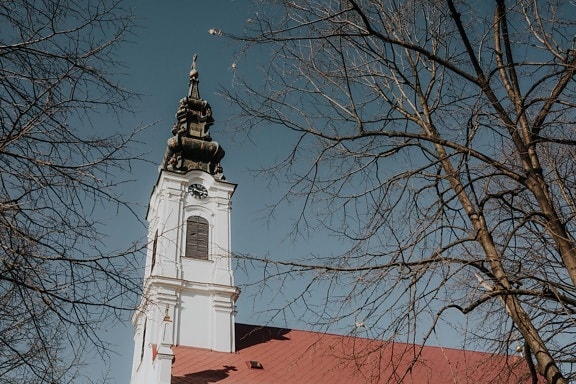 beyaz, kilise kulesi, Rusça, ortodoks, hıristiyanlık, bina, Kule, mimari, kilise, katedrali