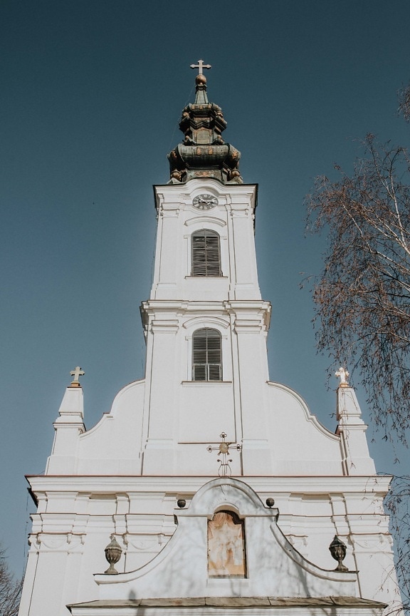 Backa Palanka orthodox church, Serbia, white, church tower, high, front, cross, religion, building