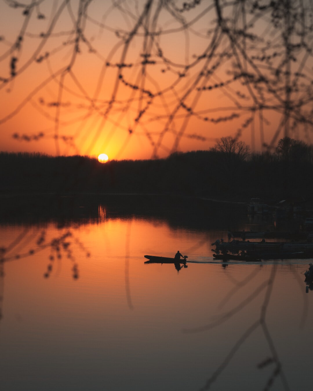 fishing boat, fisherman, sunset, sunspot, harbour, star, water, sun, dawn, evening