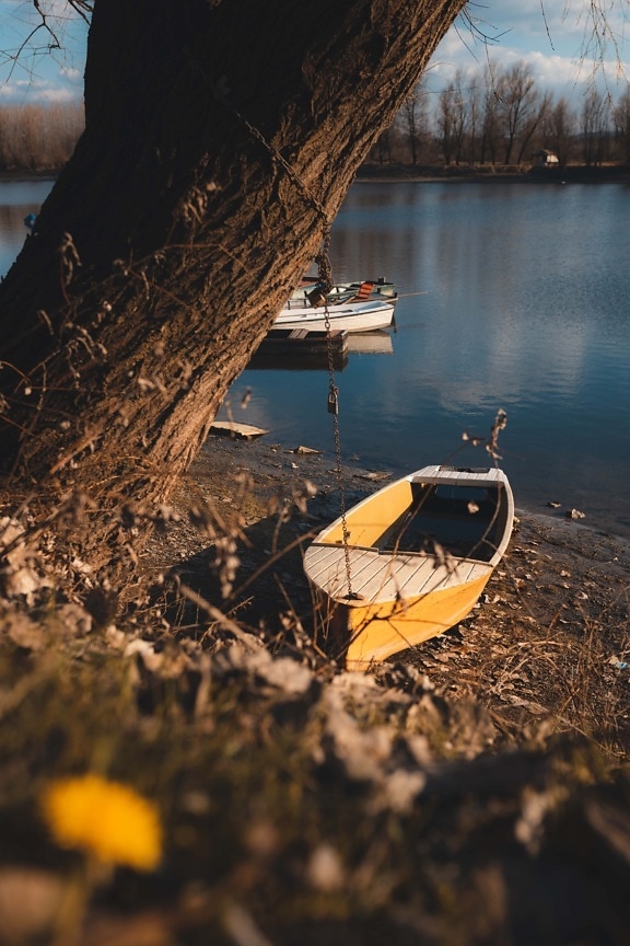 marrom amarelado, barco, de madeira, margem do Rio, barco no Rio, lago, natureza, rio, ao ar livre, árvore