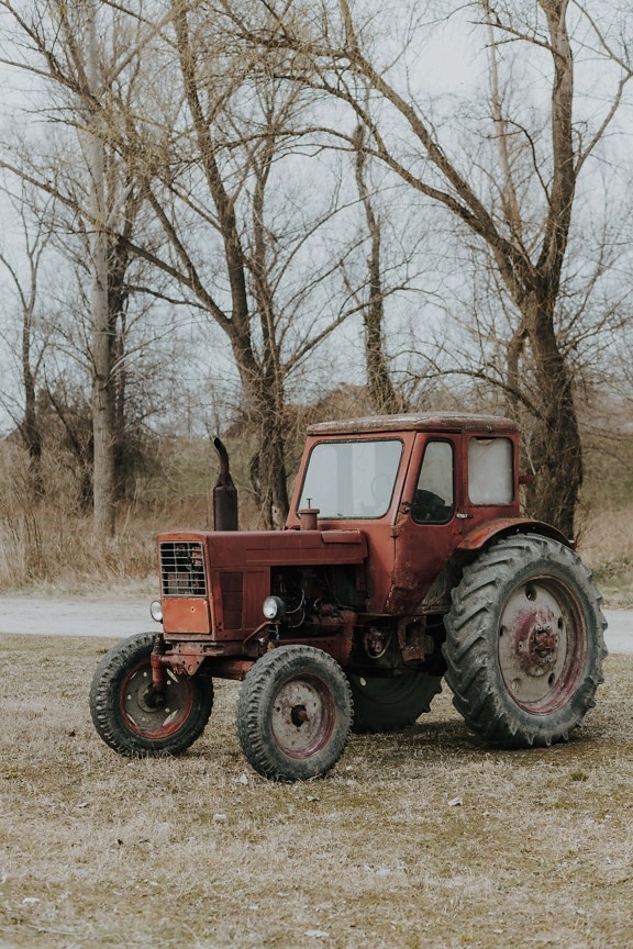 traktor, rozsda, régi, vidéki, mezőgazdaság, jármű, gép, gépek, farm, természet