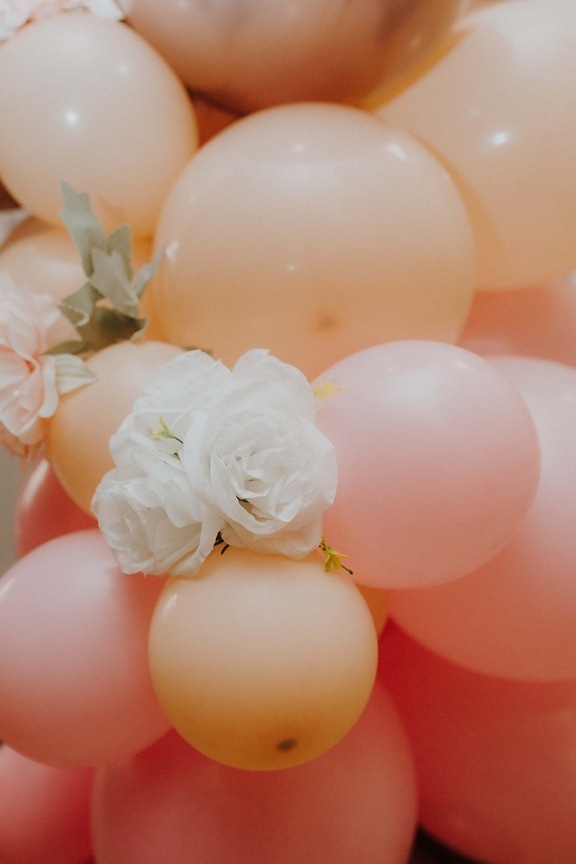roz, balon, flori albe, decor, trandafiri, luminoase, culoare, stralucitoare, decorative, elegant