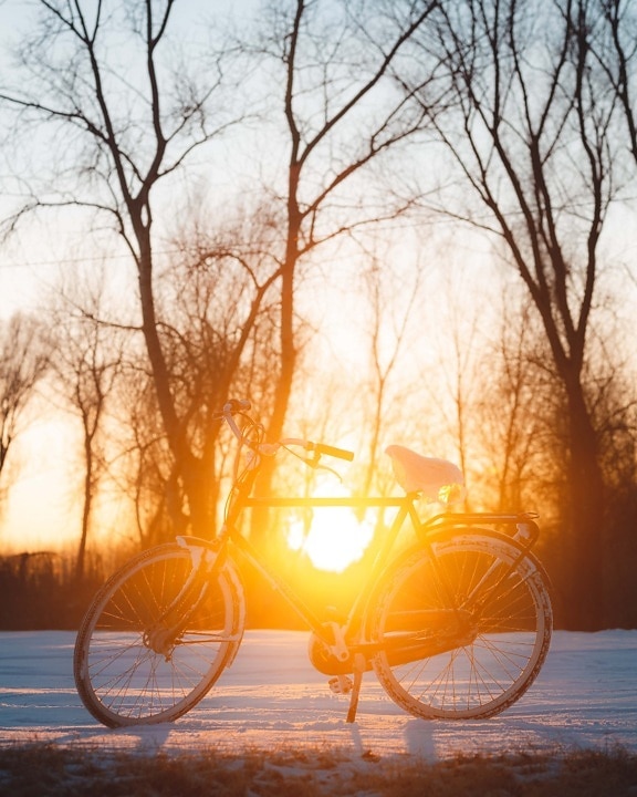 lumière du soleil, brillant, taches solaires, vélo, silhouette, rétro-éclairé, véhicule, aube, coucher de soleil, beau temps