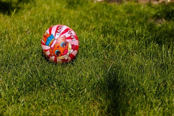 plastic, pinkish, ball, toy, green grass, grass, lawn, field, game, color