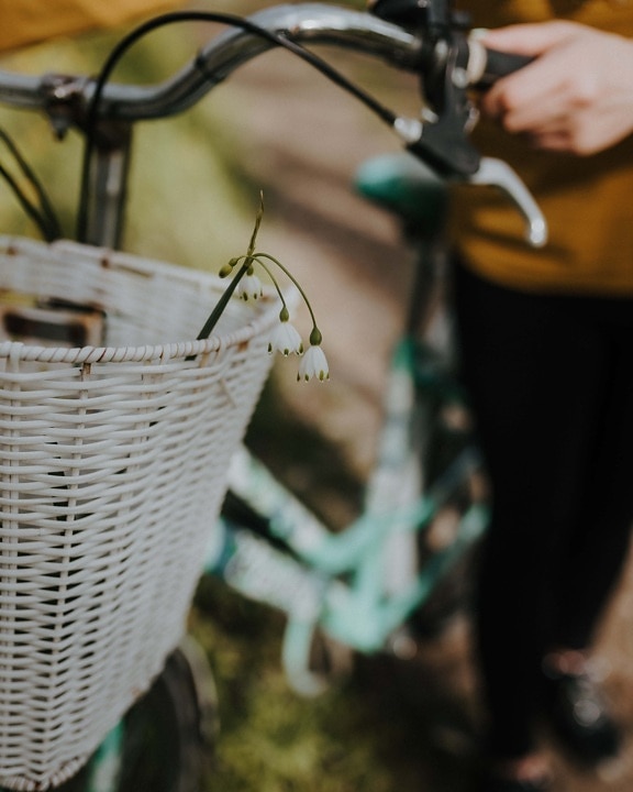 bicycle, steering wheel, wicker basket, white, flowers, basket, outdoors, retro, spring time, vintage