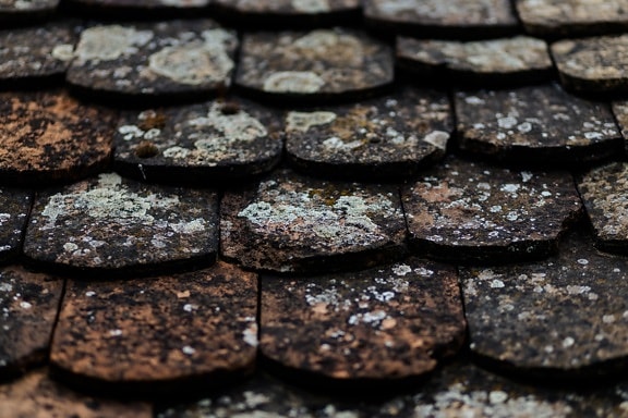 rooftop, tiles, roof, texture, mossy, lichen, old, material, pattern, tile