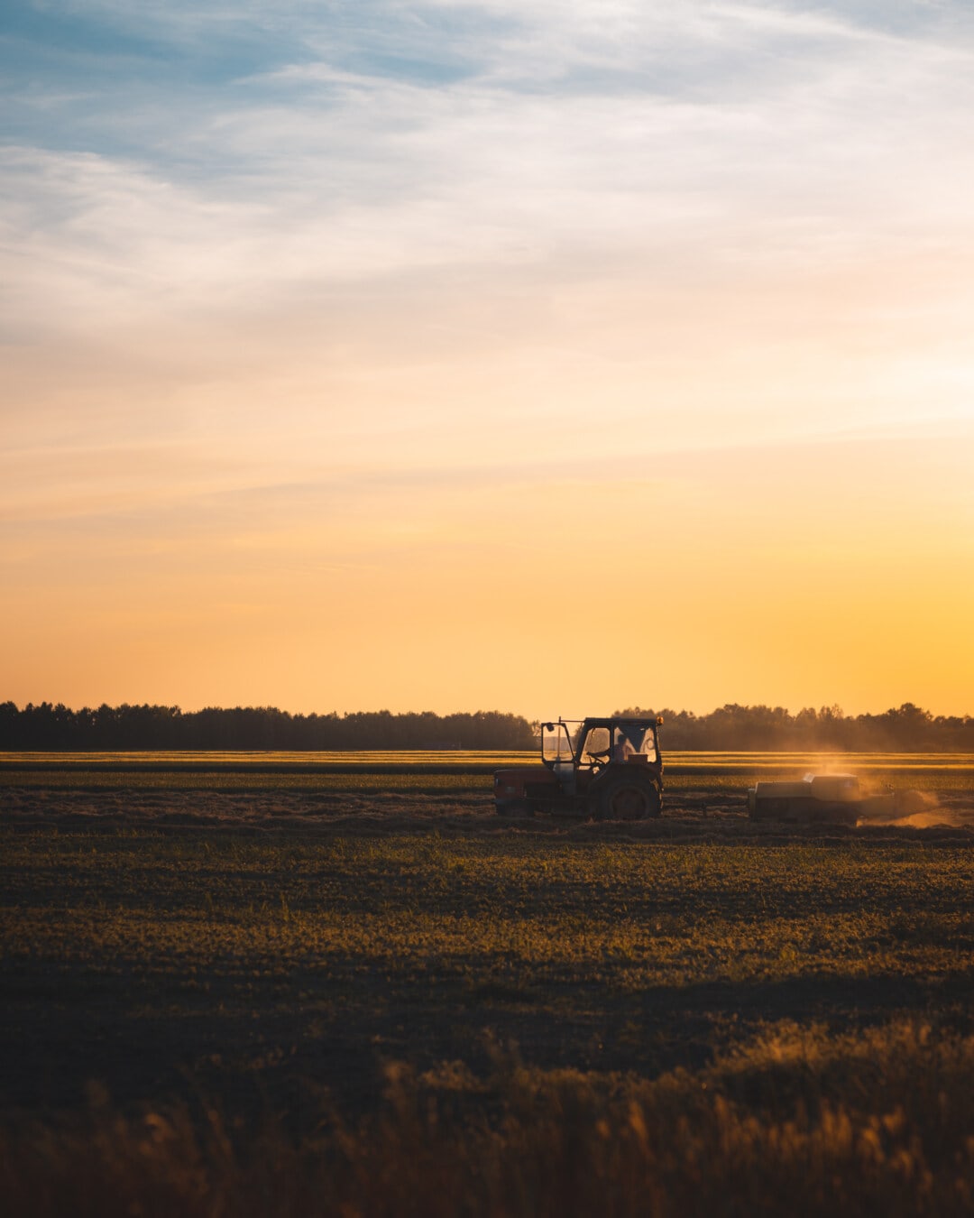 tractor, driving, agriculture, sunset, farmland, working, farming, dawn, landscape, field