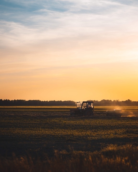 tractor, driving, agriculture, sunset, farmland, working, farming, dawn, landscape, field