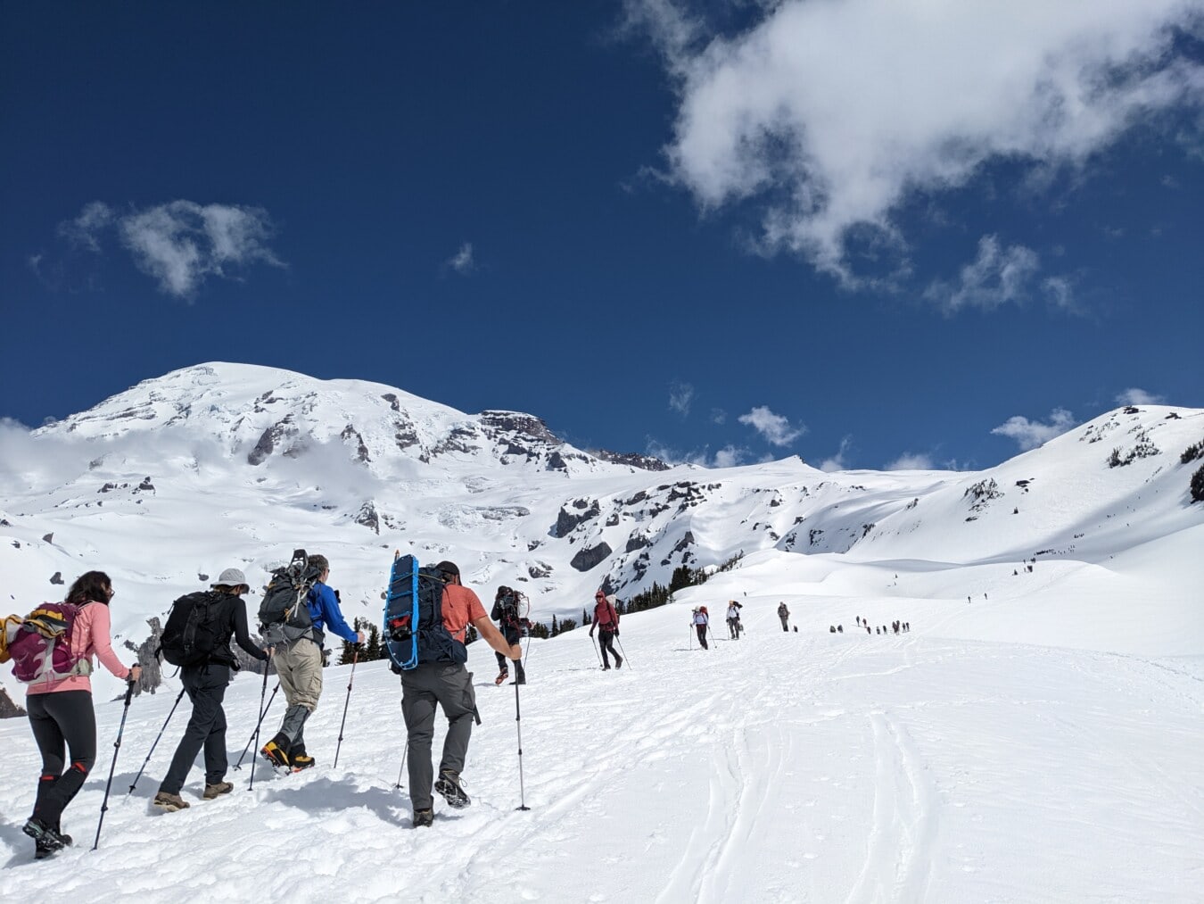 Skifahrer, Bergsteiger, Skifahren, körperliche Aktivität, Rucksacktourist, Menschen, Erholung, Schnee, Landschaft, Berge