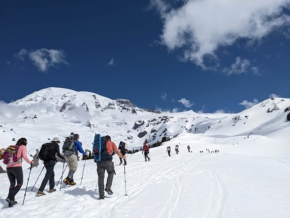 narciarz, alpinista, jazda na nartach, aktywność fizyczna, plecak, ludzie, rekreacja, śnieg, krajobraz, góry
