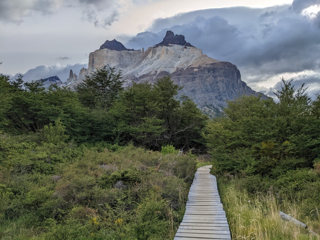 wooden, pathway, national park, wilderness, trail, mountains, landscape, mountain, nature, outdoors