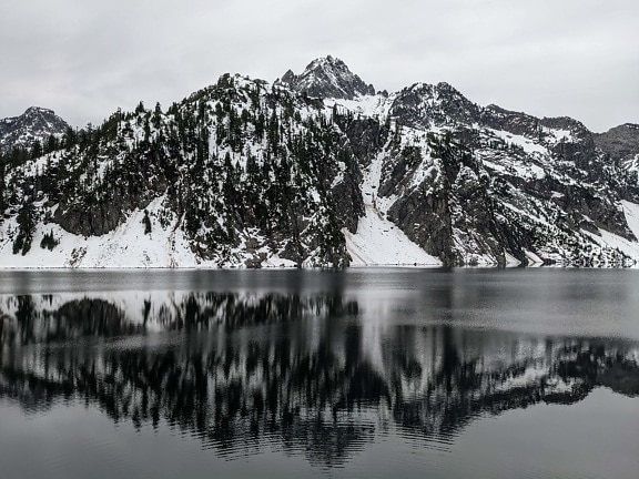 ladera de la montaña, junto al lago, reflexión, blanco y negro, paisaje, bosque, agua, Costa, lago, montaña