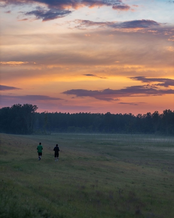 dimineata, jogging, Răsărit de soare, zona rurală, peisaj, zori de zi, seara, amurg, copac, natura