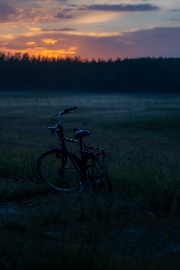Napkelte, sziluettjét, árnyék, kerékpár, reggel, ködös, vidéken, kerék, Hajnal, jármű