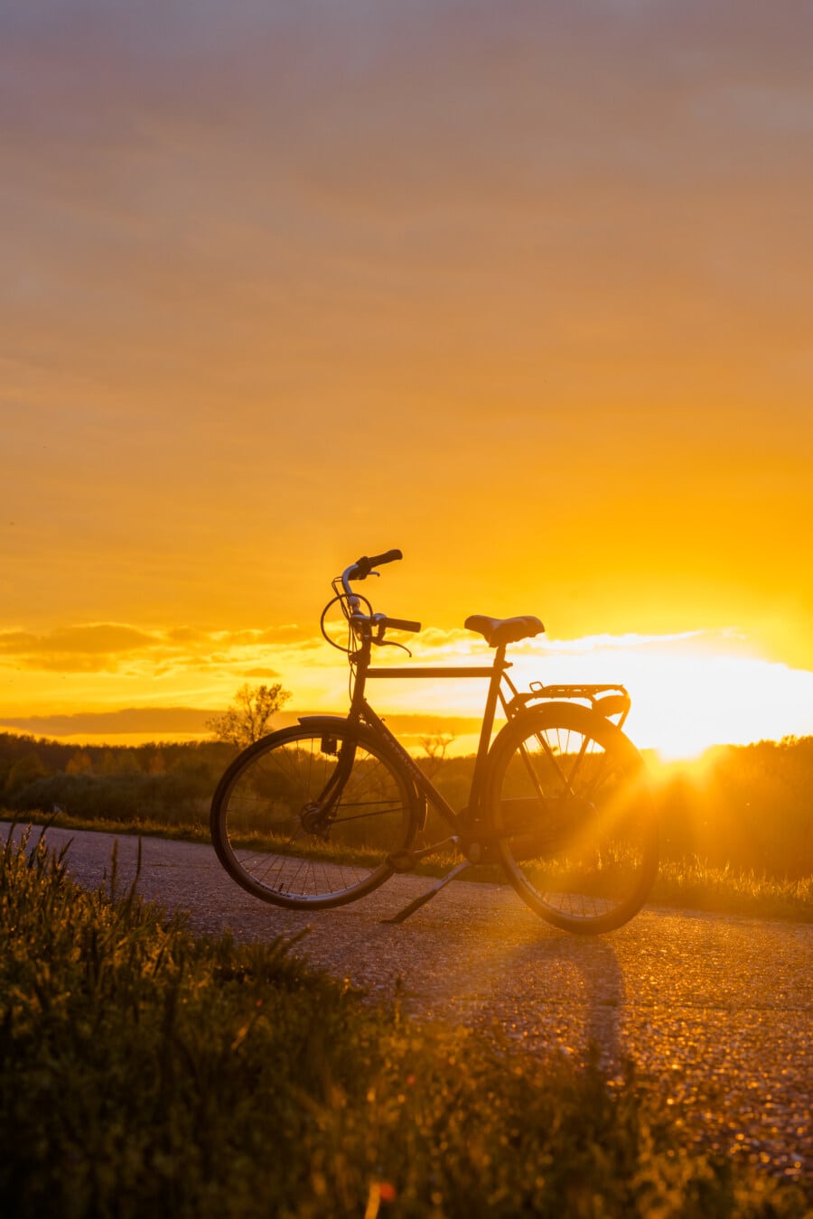 sunrays, sunrise, sunlight, bicycle, silhouette, road, sunspot, dawn, landscape, evening