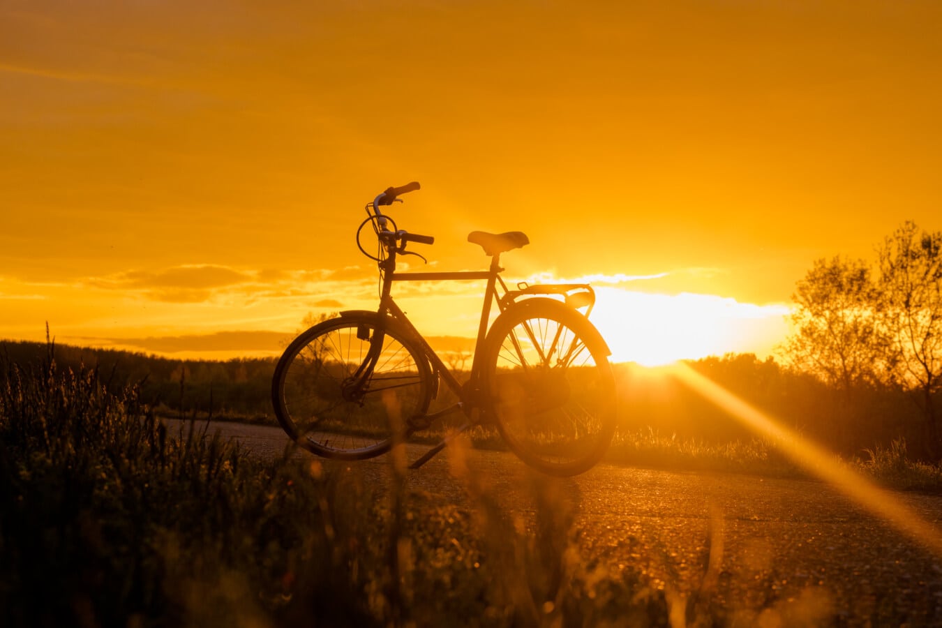 sunrays, sunset, backlight, shadow, bicycle, road, countryside, grass plants, dawn, sun