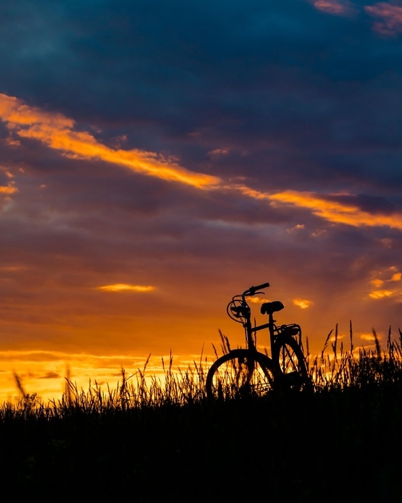dawn, orange yellow, shadow, bicycle, silhouette, twilight, landscape, dusk, sunrise, wheel
